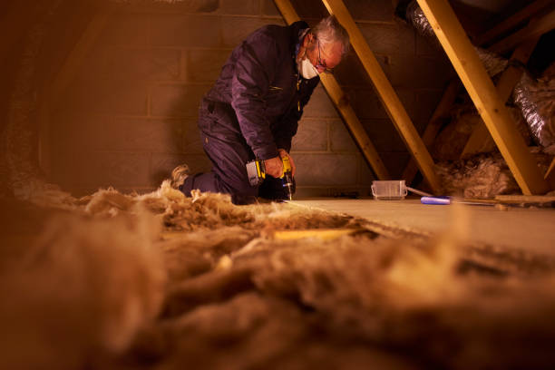 Best Attic Insulation Installation  in Fosston, MN