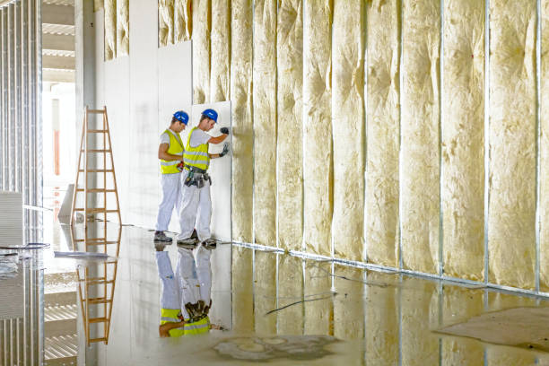 Best Insulation Replacement  in Fosston, MN